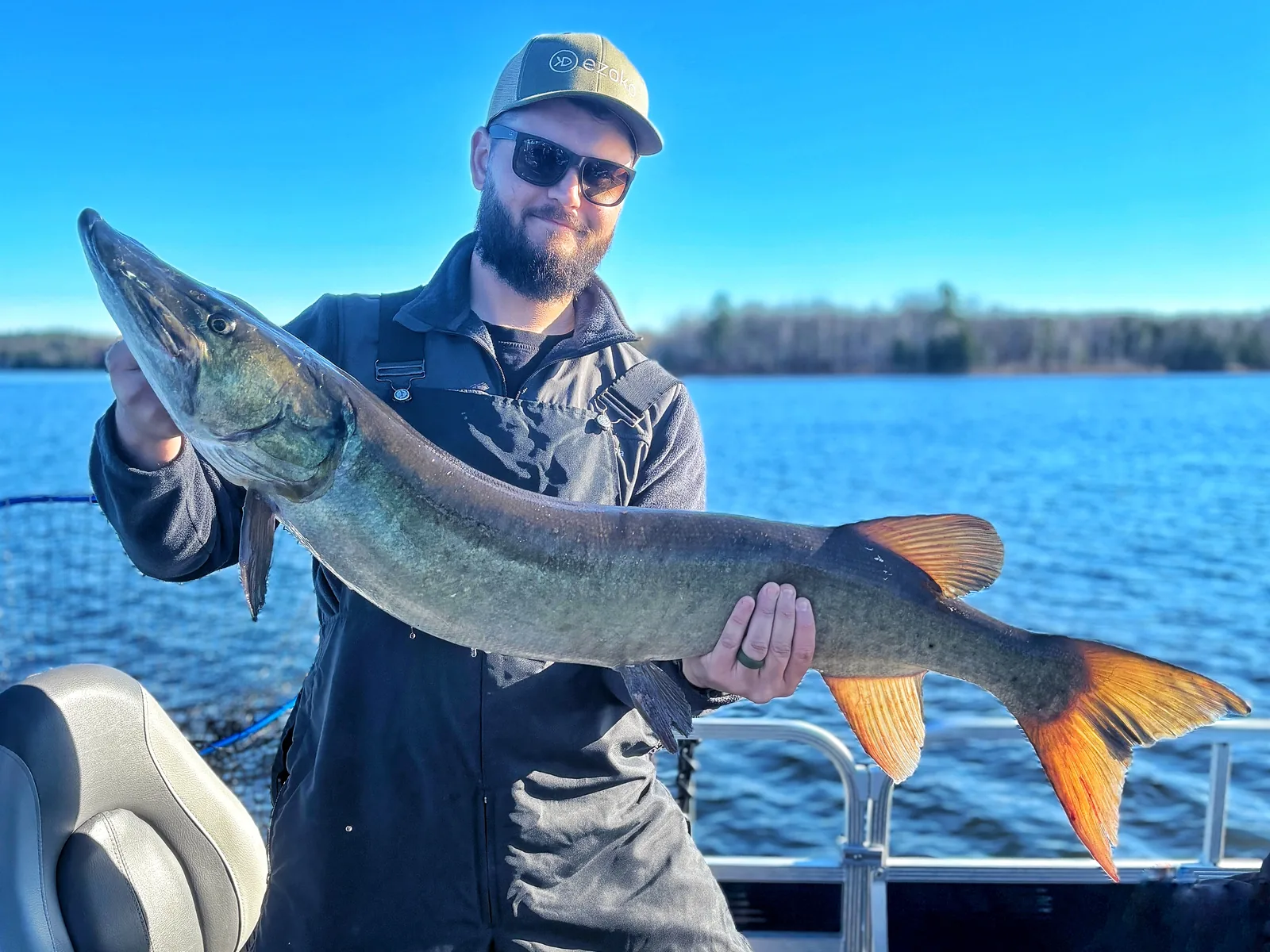 Jesse from Fishing Loons holding a muskie while fishing.